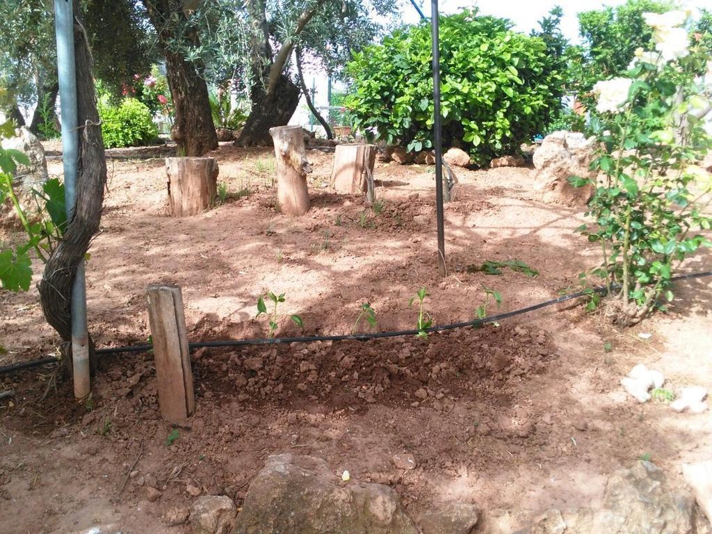 Alojamientos Rurales La Loma Pozo Alcón Zewnętrze zdjęcie